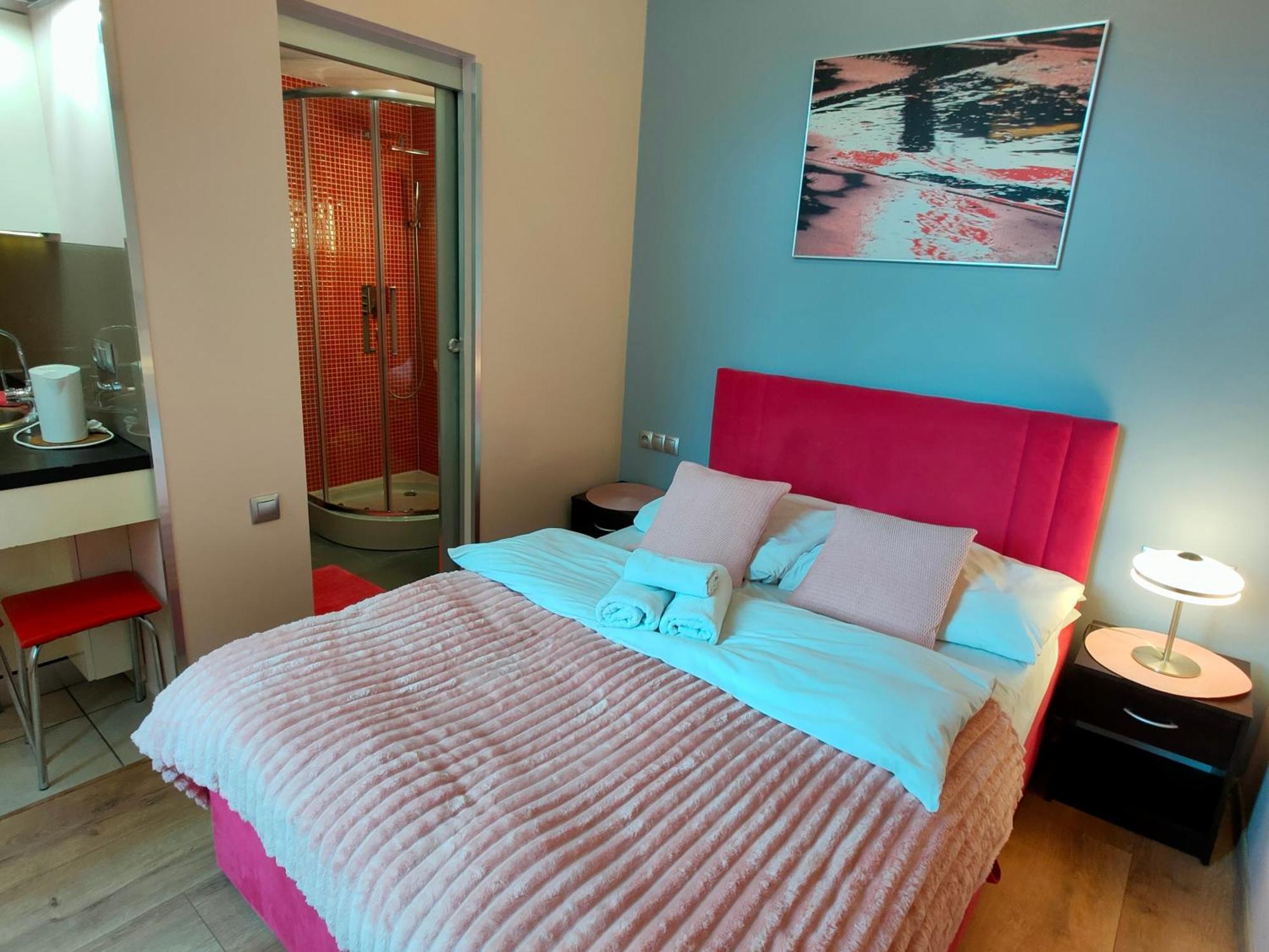 Mirror Pink Studio Apartment Krasków Εξωτερικό φωτογραφία