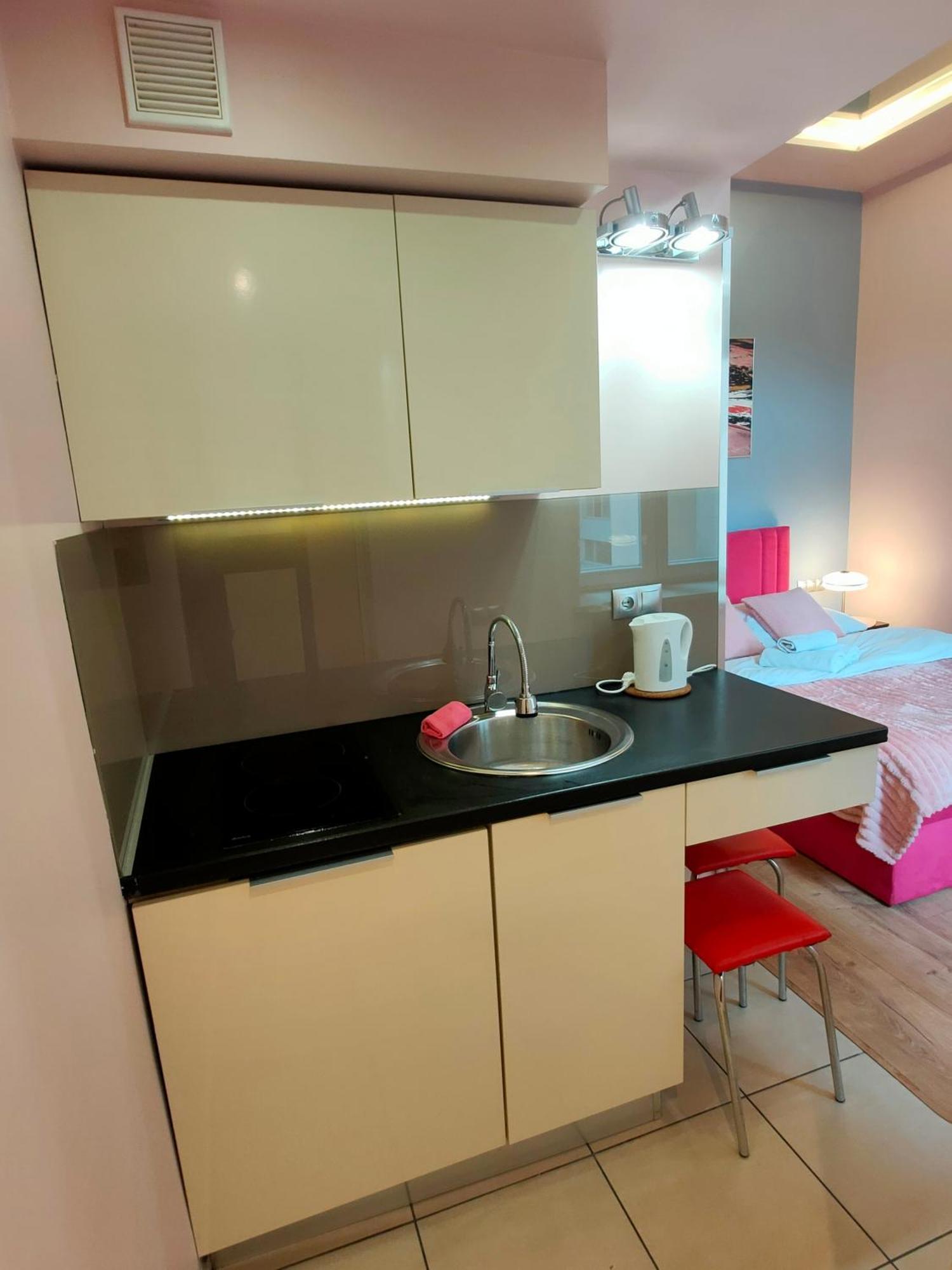 Mirror Pink Studio Apartment Krasków Εξωτερικό φωτογραφία
